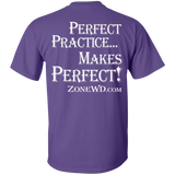 Perfect Practice
