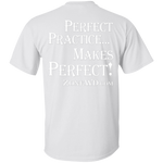 Perfect Practice