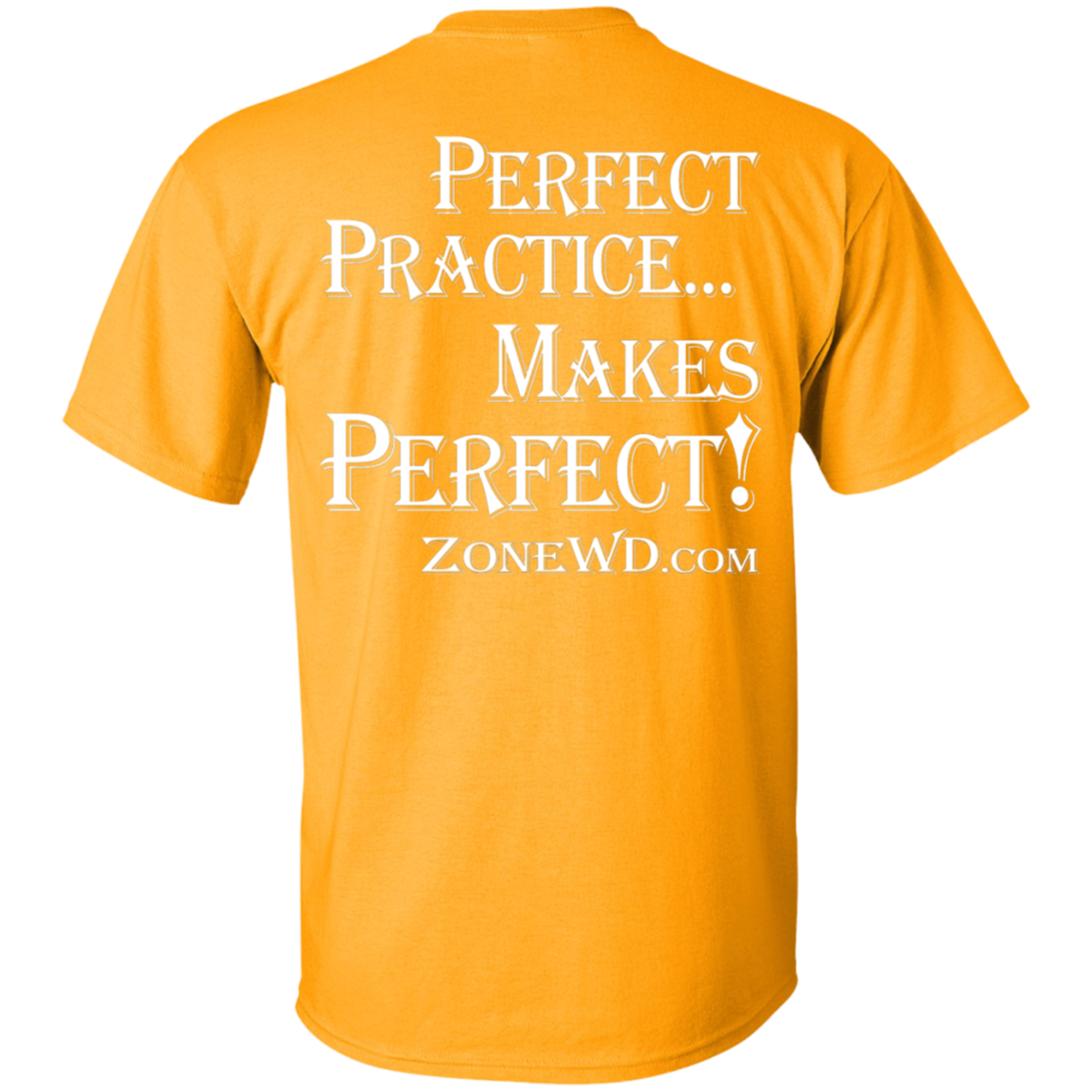 Perfect Practice