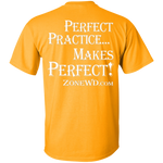 Perfect Practice