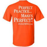 Perfect Practice