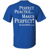 Perfect Practice